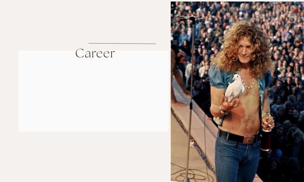 robert plant age